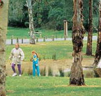 Westerfolds Park - Sunshine Coast Tourism