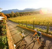 Boyntons Feathertop Winery - Sunshine Coast Tourism