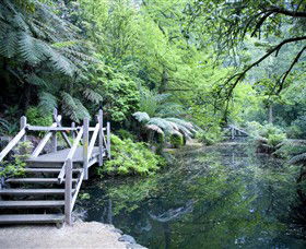 Sherbrooke VIC Holiday Sunshine Coast