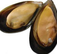 Sea Bounty