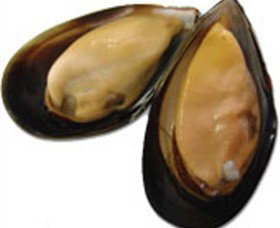 Sea Bounty - Sunshine Coast Tourism 0