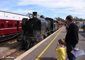 Mornington Railway - Sunshine Coast Tourism 0