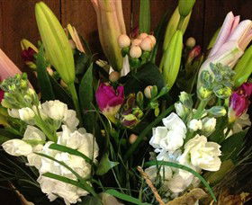 Alpine Blooms Florist Mansfield - Sunshine Coast Tourism 0