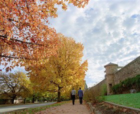 Beechworth Historic Park - Sunshine Coast Tourism 0