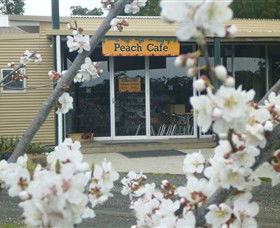 Rayner's Orchard - Sunshine Coast Tourism 0