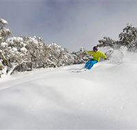 Mt Buller and Mt Stirling Alpine Resort