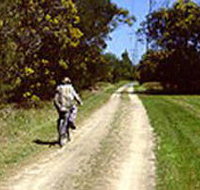 Koomba Park - Sunshine Coast Tourism