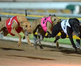 The Beckley Centre - Holiday Sunshine Coast 0