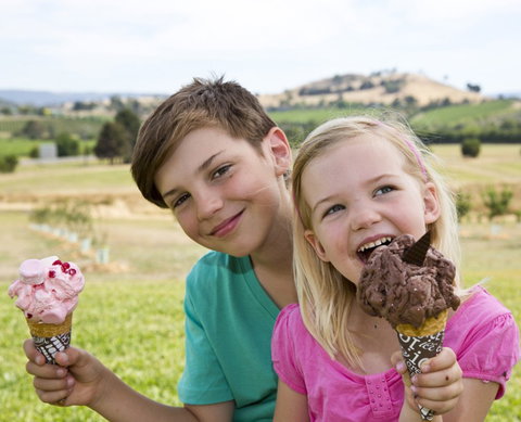 Yarra Valley Chocolaterie & Ice Creamery - Holiday Sunshine Coast 6