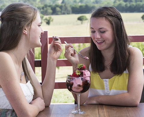 Yarra Valley Chocolaterie & Ice Creamery - Holiday Sunshine Coast 8