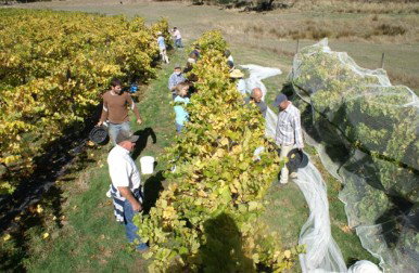  Holiday Sunshine Coast