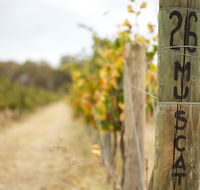 Stanton and Killeen Wines - Holiday Sunshine Coast