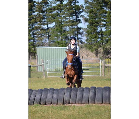 Saddle On Riding School - Sunshine Coast Tourism 9