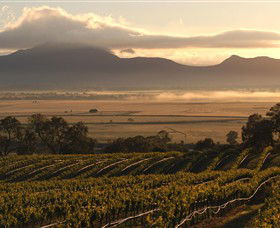 Montara Wines - Sunshine Coast Tourism 0
