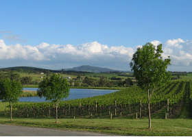 Yarrawood Estate - Sunshine Coast Tourism 0