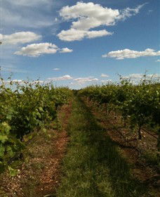 Chambers Rosewood Winery - Holiday Sunshine Coast 0