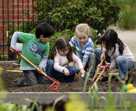 The Ian Potter Foundation Children's Garden - Sunshine Coast Tourism 0