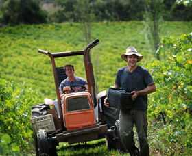 Kellybrook Winery & Kelly Brothers Cider - Sunshine Coast Tourism 0