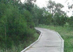 Shepherds Bush - Holiday Sunshine Coast 0