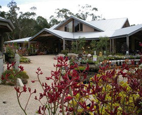 Kuranga Native Nursery And Paperbark Cafe - Holiday Sunshine Coast 0