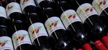 Nicholson River Winery - Sunshine Coast Tourism 2