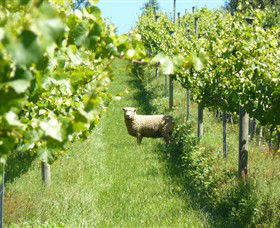 Passing Clouds - Sunshine Coast Tourism 0