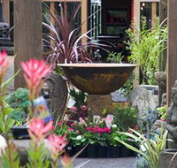 Sea Echo - Sunshine Coast Tourism