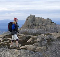 Mount Buffalo National Park - Sunshine Coast Tourism