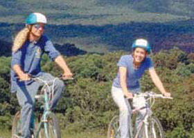 Lysterfield VIC Sunshine Coast Tourism