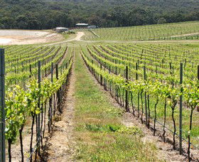 M Chapoutier Australia - Holiday Sunshine Coast 0