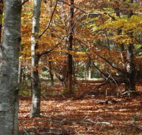 RJ Hamer Arboretum