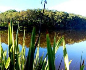 Aura Vale Lake Park - Sunshine Coast Tourism 0