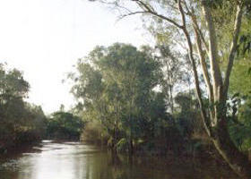 Banksia Park - Sunshine Coast Tourism 0