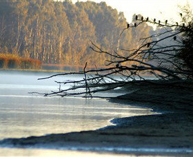 Barmah National Park - Sunshine Coast Tourism 0