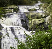 Agnes Falls Scenic Reserve - Sunshine Coast Tourism