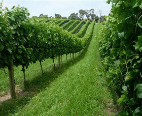 The Cups Estate - Sunshine Coast Tourism 0