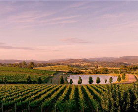Oakridge Wines - Sunshine Coast Tourism 0
