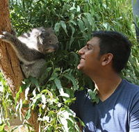 Healesville Sanctuary - Sunshine Coast Tourism