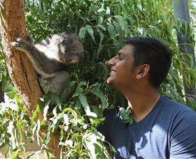 Healesville Sanctuary - Holiday Sunshine Coast 0