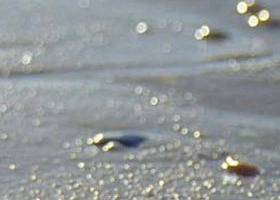 Cape Liptrap Coastal Park - Holiday Sunshine Coast 0