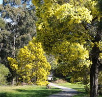 Wattle Park - Sunshine Coast Tourism