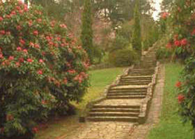 Maroondah Reservoir Park - Sunshine Coast Tourism 0