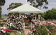 Morwell Centenary Rose Garden - thumb 0