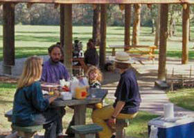 Mcmahons Creek VIC Sunshine Coast Tourism