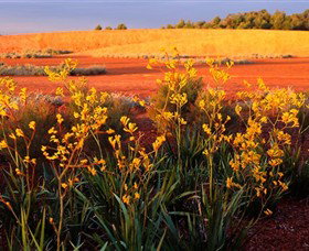 Royal Botanic Gardens Victoria Cranbourne - Holiday Sunshine Coast 0