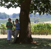 Five Oaks Vineyard - Sunshine Coast Tourism