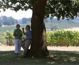 Five Oaks Vineyard - Sunshine Coast Tourism 0