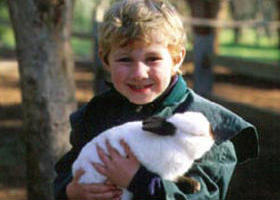 Keilor VIC Sunshine Coast Tourism