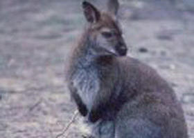 Churchill National Park - Holiday Sunshine Coast 0