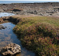 Ricketts Point Marine Sanctuary - Sunshine Coast Tourism